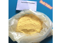 High Purity Tren Bodybuilding Supplement , Trenbolone Enanthate Powder