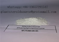 High Purity Nandrolone Phenylpropionate Nandrolone Raw Steroid Powder Durabolin CAS 62-90-8 With Factory Price